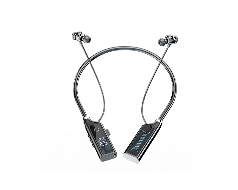 LT2319（体佩式助听器）